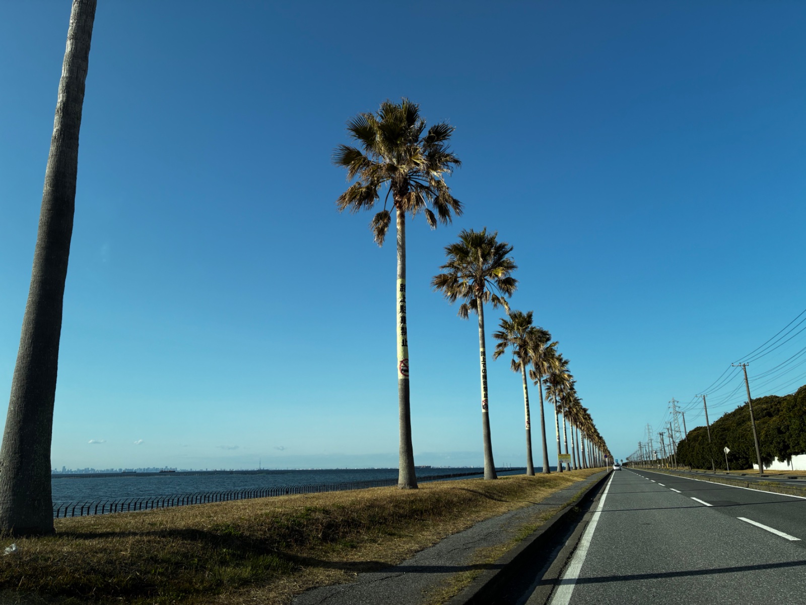 袖ケ浦海浜公園