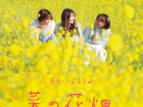マザー牧場 350万本の菜の花畑